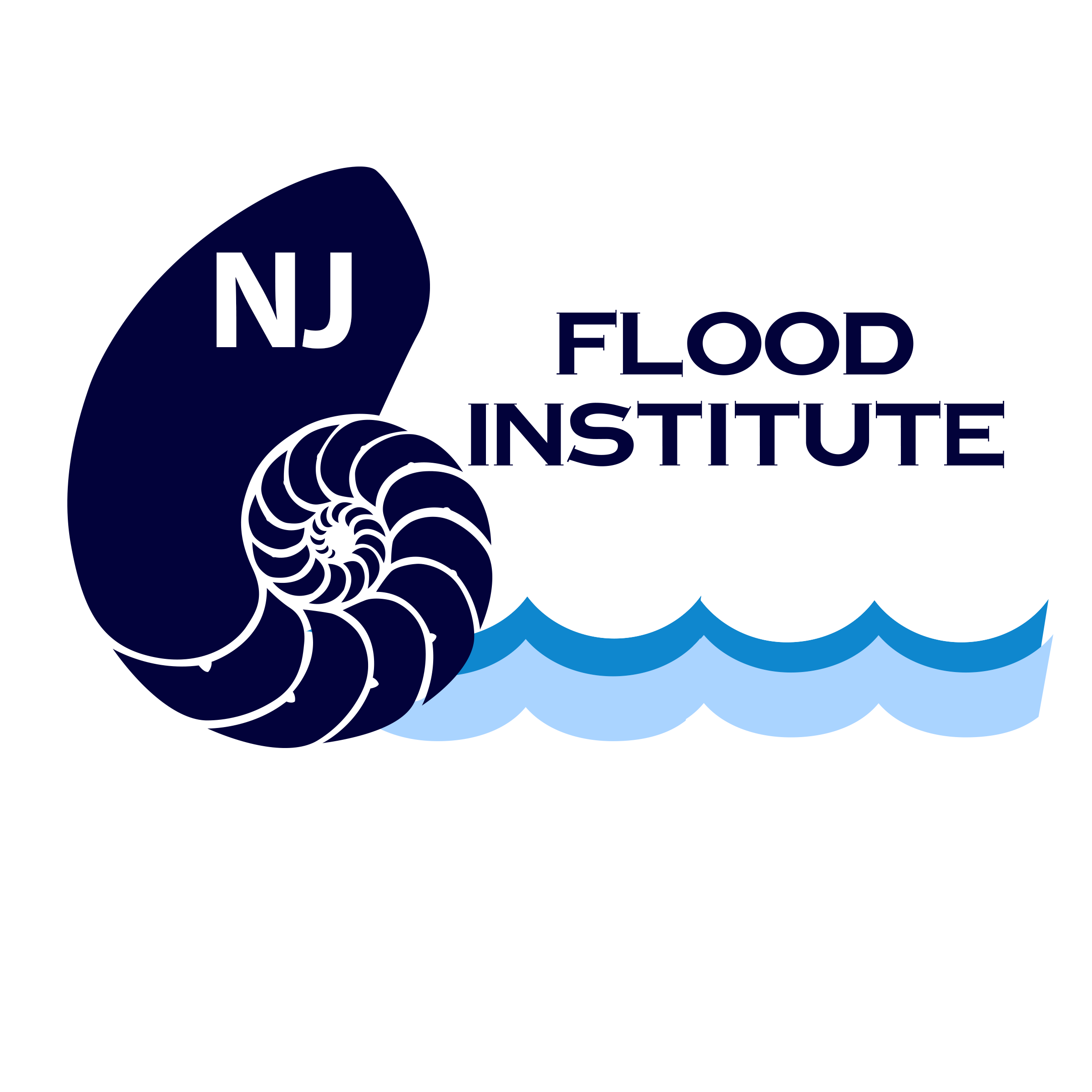 New Jersey Flood Institute  
